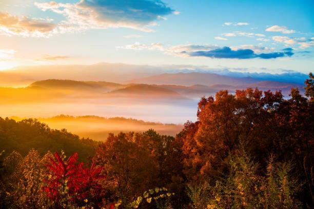 Dog Friendly, Romantic Mtn Getaway Hot Tub Pool Gatlinburg Zewnętrze zdjęcie